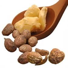 Cocoa butter - El Ceibo LTDA